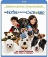 /album/blu-rays/bluray-um-hotel-bom-para-cachorro-locadora-de-blu-ray-curitiba-clube-do-blu-ray-jpg/
